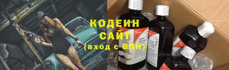 что такое   Горбатов  Кодеиновый сироп Lean Purple Drank 